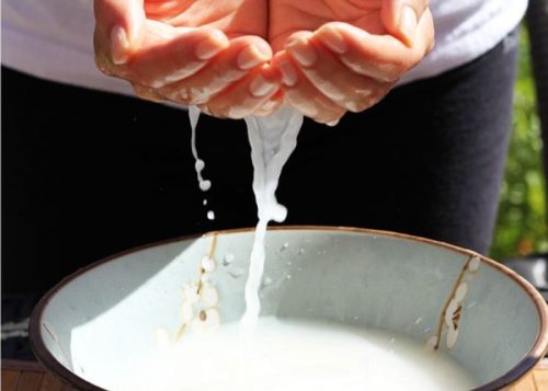 Bạn có thể sử dụng nước vo gạo trong quá trình làm sạch da hàng ngày