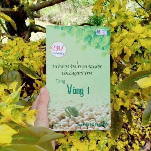 Mầm đậu nành Collagen DM beauty của Việt Nam